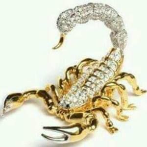 Meet your Posher, Peter